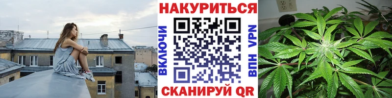 Купить  Энгельс  Бошки марихуана сатива 